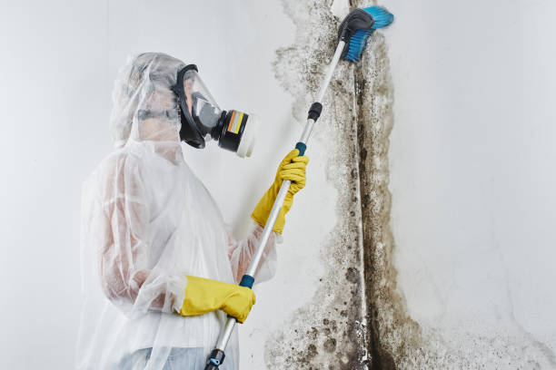 Water Damage Restoration in Bawcomville, LA