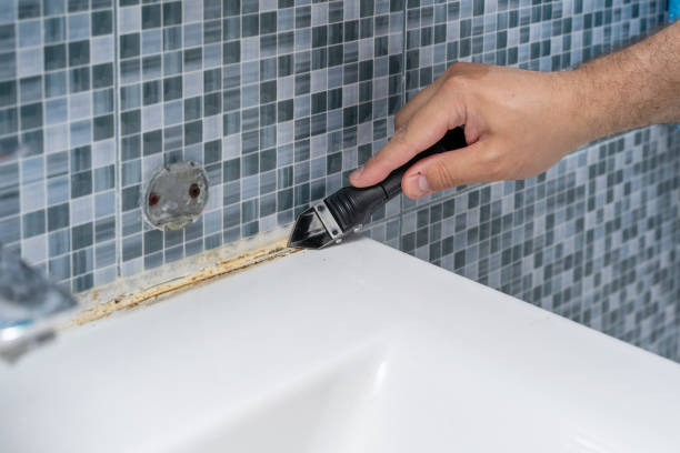 Certified Mold Removal in Bawcomville, LA